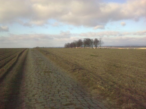 Foto_Mainz_Landschaft.jpg