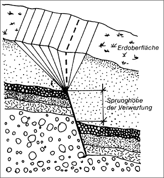 P0344.gif